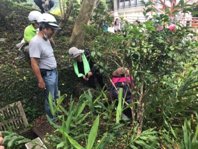 臺東林區管理處同仁發起志願服務 辦理假日護樹修枝工作假期